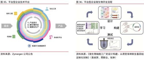 合成生物乘勢而起 顛覆傳統(tǒng)引領(lǐng)未來，軟件開發(fā)助力行業(yè)龍頭迎戴維斯雙擊